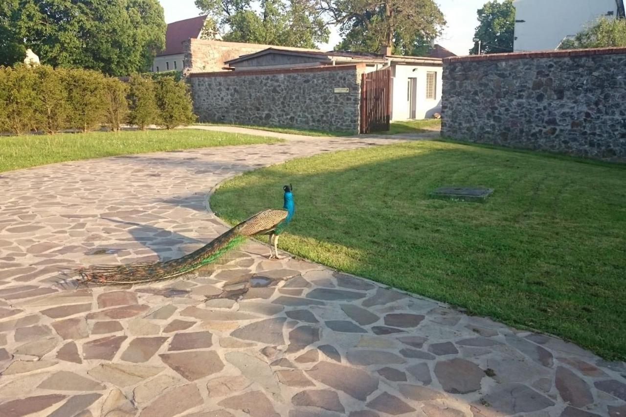 Slovak Cottage Near Bratislava In The Heart Of The Carpathians Modra Dış mekan fotoğraf
