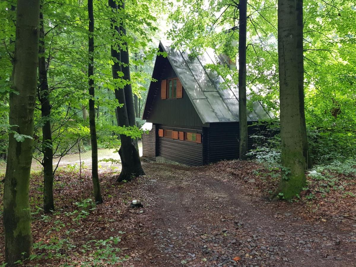 Slovak Cottage Near Bratislava In The Heart Of The Carpathians Modra Dış mekan fotoğraf